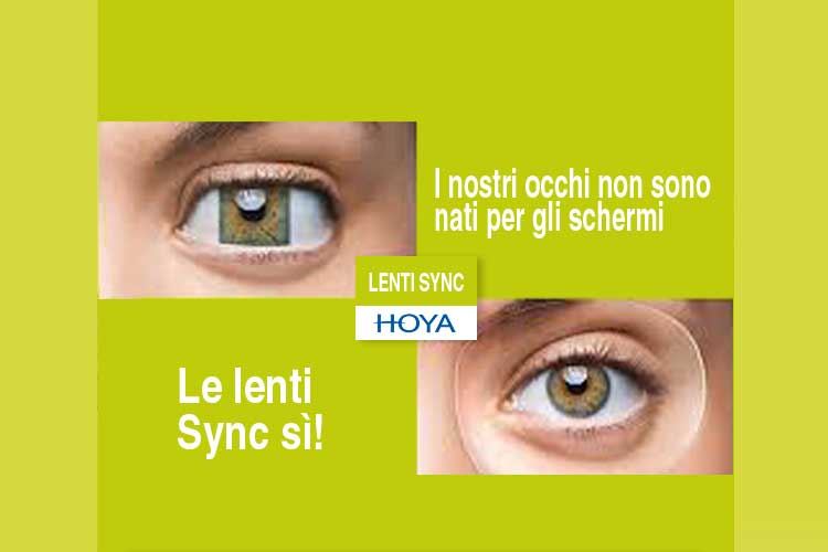 lenti Sync 5